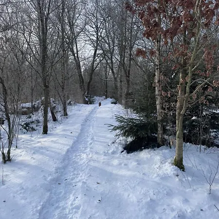 Bed & Breakfast Lysbjerggard Bed & Break Herning