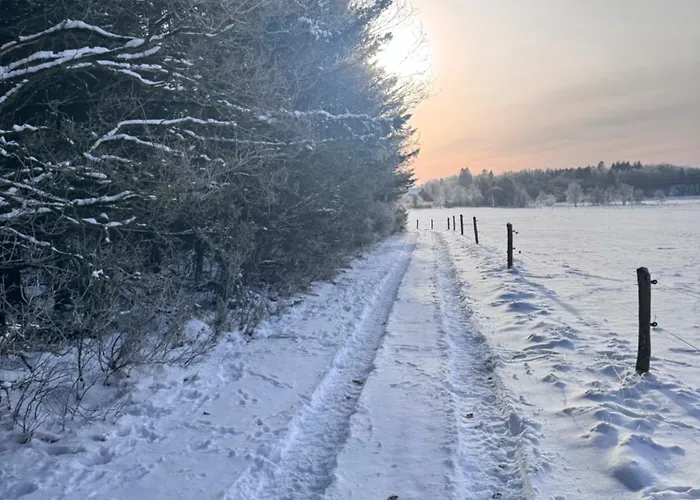 Lysbjerggard Bed & Break Bed & Breakfast Herning