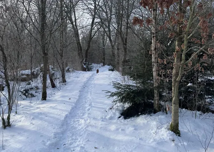 Nocleg ze śniadaniem Lysbjerggard Bed & Break Herning