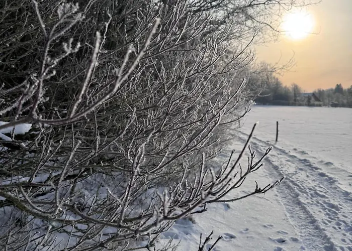 Lysbjerggard Bed & Break Nocleg ze śniadaniem *