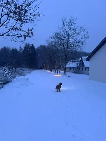 Lysbjerggard Bed & Break * Herning