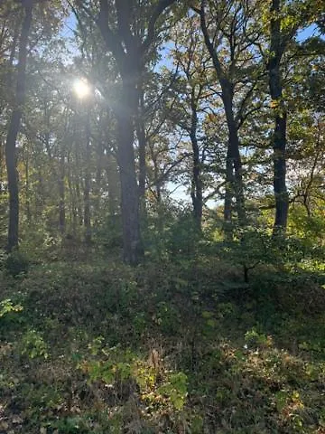 Lysbjerggard Bed & Break Bed & Breakfast Herning